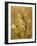 Amber Opus Foxglove-Albert Koetsier-Framed Premium Giclee Print