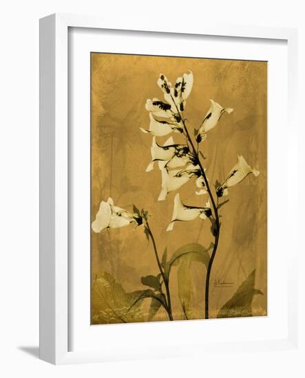 Amber Opus Foxglove-Albert Koetsier-Framed Premium Giclee Print