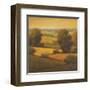 Amber Outlook II-Pierre-Framed Art Print