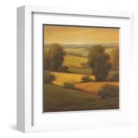 Amber Outlook II-Pierre-Framed Art Print