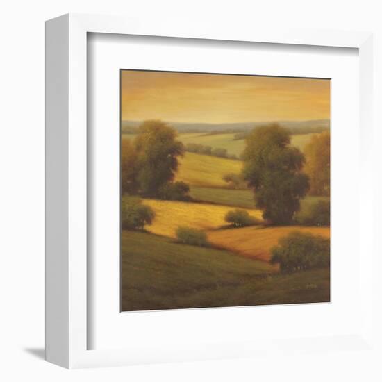 Amber Outlook II-Pierre-Framed Art Print