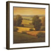 Amber Outlook II-Pierre-Framed Art Print