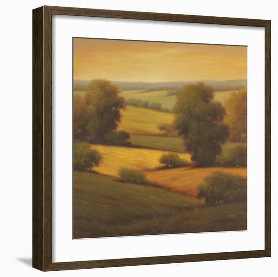 Amber Outlook II-Pierre-Framed Art Print