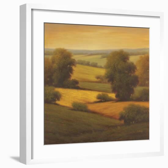 Amber Outlook II-Pierre-Framed Art Print