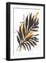 Amber Palm II-Chris Paschke-Framed Art Print