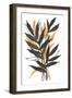 Amber Palm III-Chris Paschke-Framed Art Print