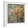 Amber Poppy Field I-Tim O'toole-Framed Art Print