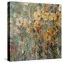 Amber Poppy Field I-Tim O'toole-Stretched Canvas