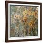 Amber Poppy Field I-Tim O'toole-Framed Art Print