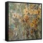 Amber Poppy Field I-Tim O'toole-Framed Stretched Canvas