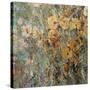 Amber Poppy Field I-Tim O'toole-Stretched Canvas