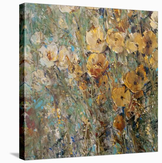 Amber Poppy Field I-Tim O'toole-Stretched Canvas