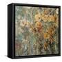 Amber Poppy Field I-Tim O'toole-Framed Stretched Canvas