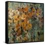 Amber Poppy Field II-Tim O'toole-Framed Stretched Canvas