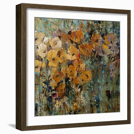 Amber Poppy Field II-Tim O'toole-Framed Art Print