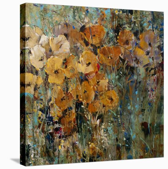 Amber Poppy Field II-Tim O'toole-Stretched Canvas