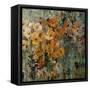 Amber Poppy Field II-Tim O'toole-Framed Stretched Canvas