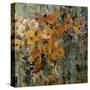 Amber Poppy Field II-Tim O'toole-Stretched Canvas