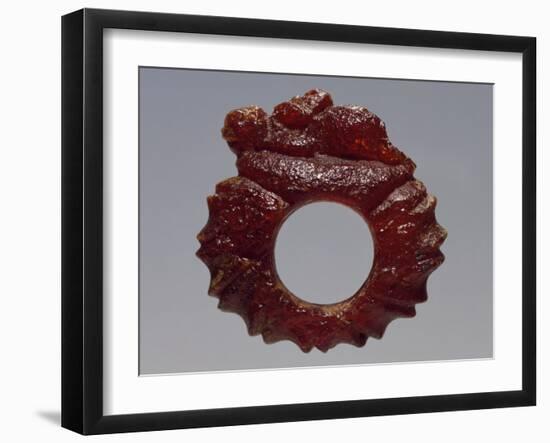 Amber Ring Uncovered in Grave in Zadar, Croatia-null-Framed Giclee Print
