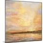 Amber Skies I-Paul Duncan-Mounted Giclee Print