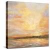 Amber Skies I-Paul Duncan-Stretched Canvas
