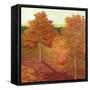 Amber Solace-Herb Dickinson-Framed Stretched Canvas