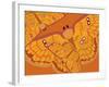 Amber Tang Parasol-Belen Mena-Framed Giclee Print