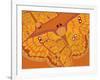 Amber Tang Parasol-Belen Mena-Framed Giclee Print