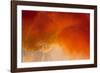 Amber Tide I-Peter Adams-Framed Giclee Print