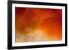 Amber Tide I-Peter Adams-Framed Giclee Print