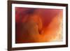 Amber Tide II-Peter Adams-Framed Giclee Print