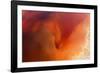 Amber Tide II-Peter Adams-Framed Giclee Print