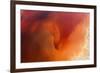 Amber Tide II-Peter Adams-Framed Giclee Print