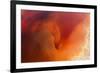 Amber Tide II-Peter Adams-Framed Giclee Print