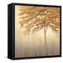 Amber-James Wiens-Framed Stretched Canvas