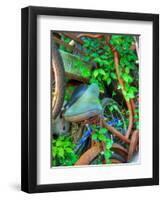 Ambermap-Jim Crotty-Framed Photographic Print