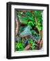 Ambermap-Jim Crotty-Framed Photographic Print