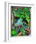 Ambermap-Jim Crotty-Framed Photographic Print