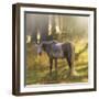 Ambient Grace-Amanda Smith-Framed Photographic Print