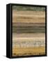 Ambient II-Brent Nelson-Framed Stretched Canvas