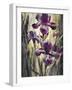 Ambient Iris 2-Brent Heighton-Framed Art Print