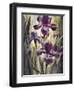 Ambient Iris 2-Brent Heighton-Framed Art Print