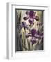 Ambient Iris 2-Brent Heighton-Framed Art Print