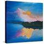 Ambient Reflections-Herb Dickinson-Stretched Canvas