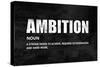 Ambition on Black-Jamie MacDowell-Stretched Canvas