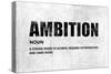 Ambition-Jamie MacDowell-Stretched Canvas