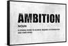 Ambition-Jamie MacDowell-Framed Stretched Canvas