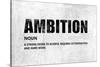 Ambition-Jamie MacDowell-Stretched Canvas