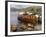 Ambleside, Lake Windermere, Lake District National Park, Cumbria, England, United Kingdom, Europe-Jeremy Lightfoot-Framed Photographic Print