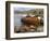 Ambleside, Lake Windermere, Lake District National Park, Cumbria, England, United Kingdom, Europe-Jeremy Lightfoot-Framed Photographic Print